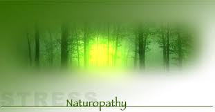 Naturopathy Treatment Resort